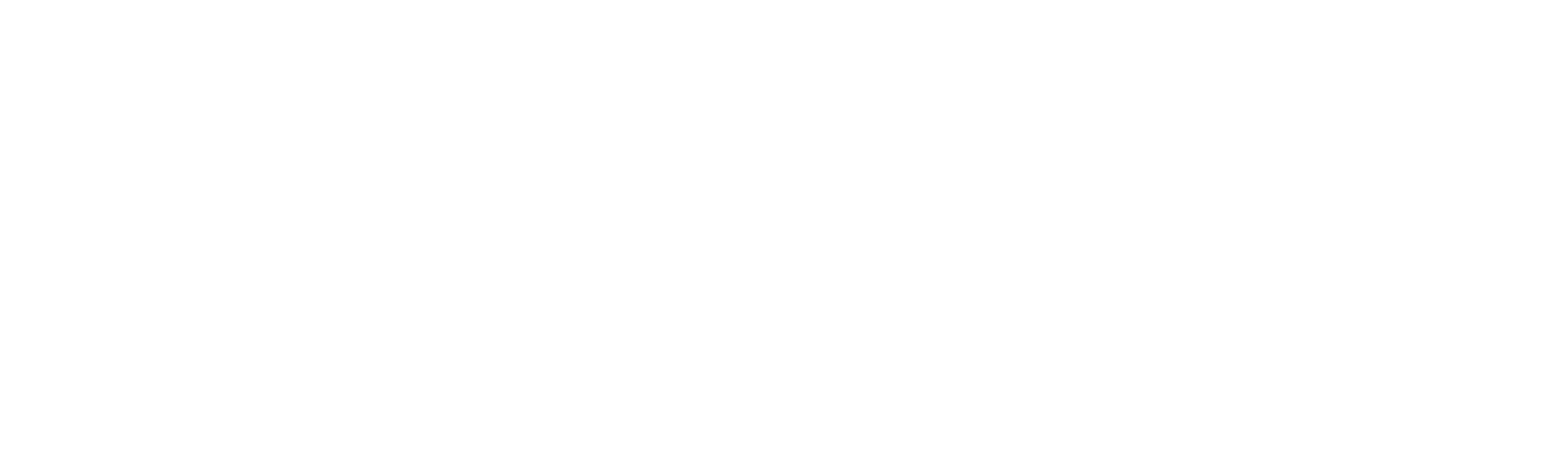 MAIL 'N FLY